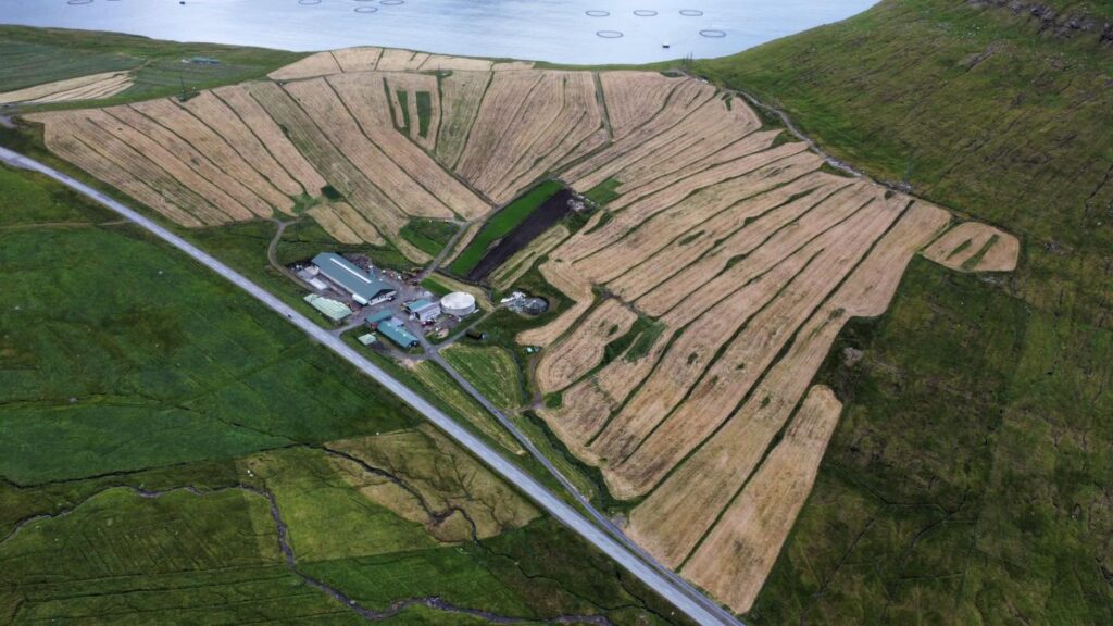 486797067 9590144887719901 6643902889435064541 n