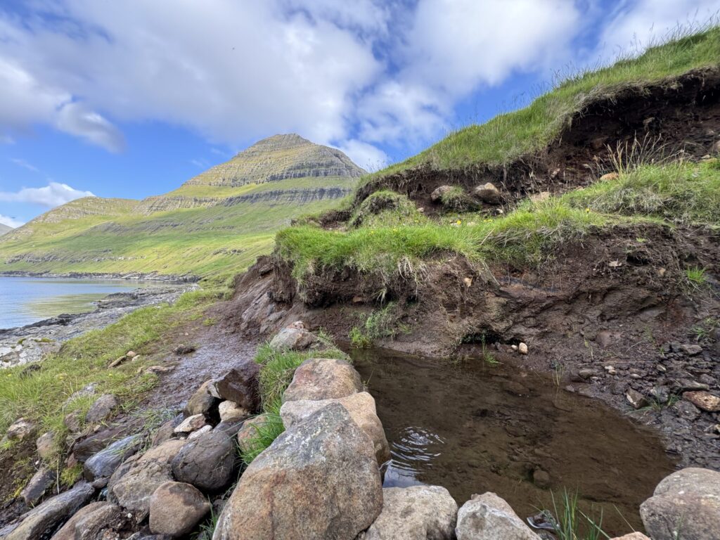 20240803 174131 img 2504 scaled.jpg