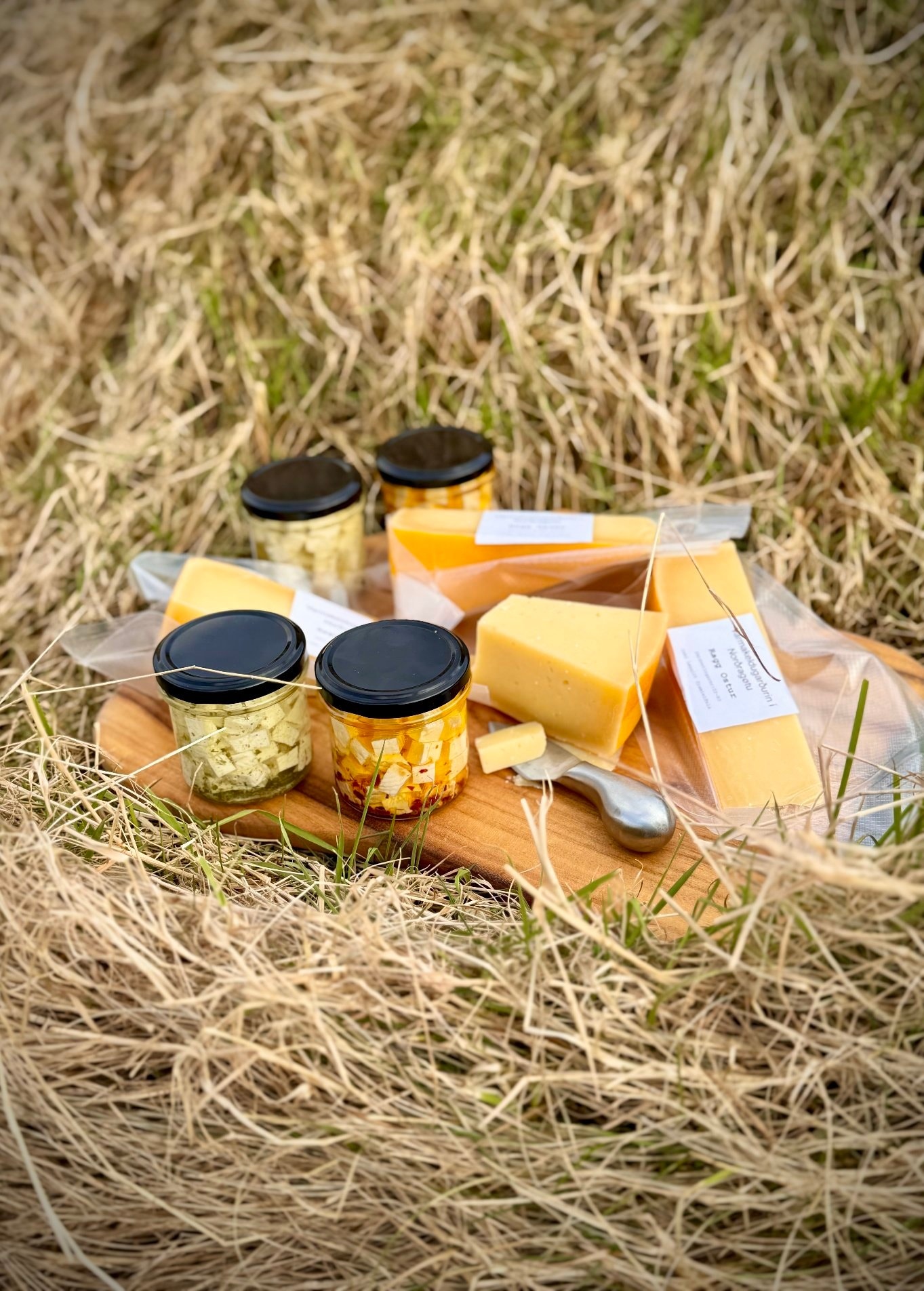 513886113 1052393280362502 3405758996635184796 n.jpg